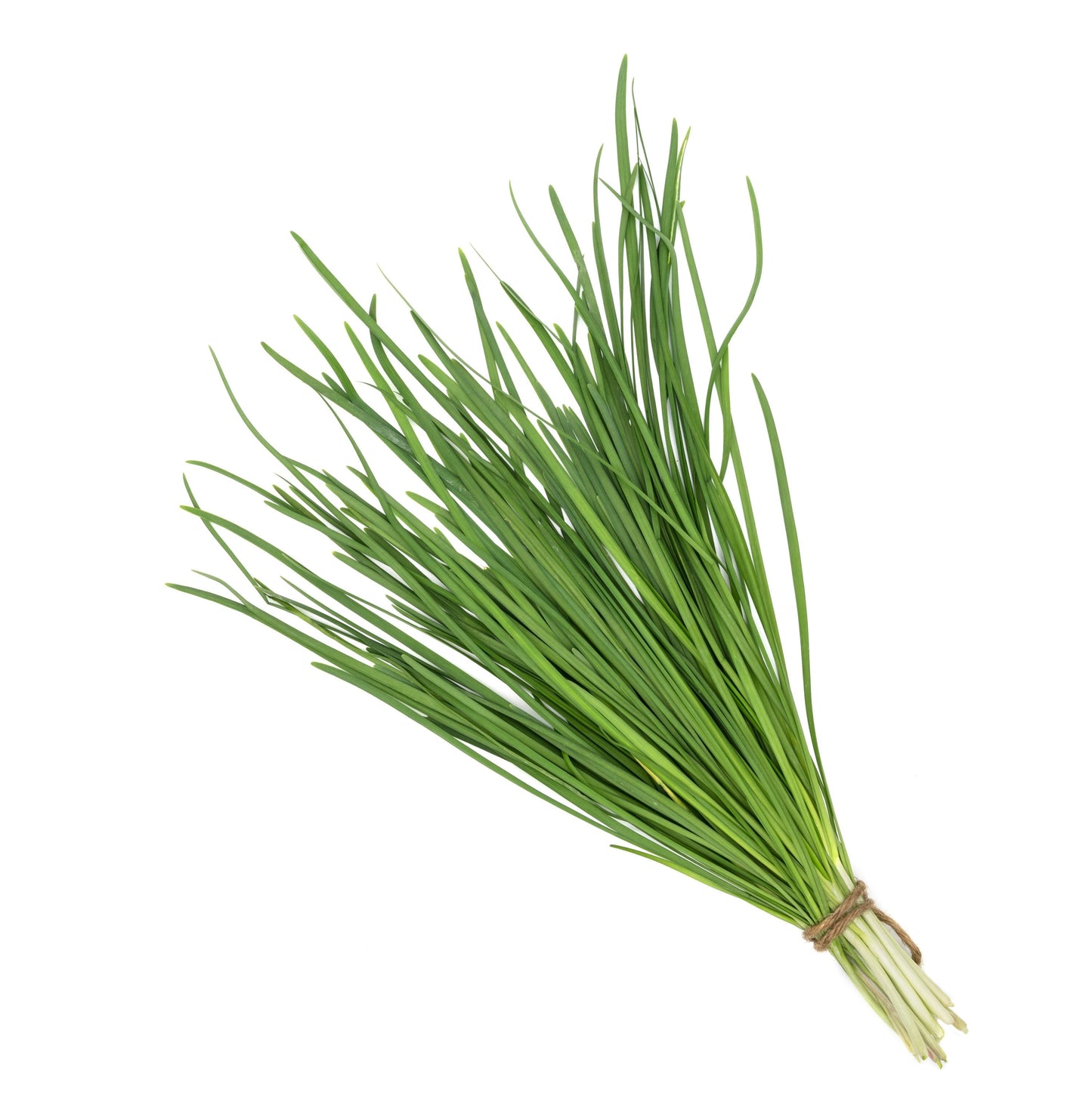 Organic Chives Air Dried