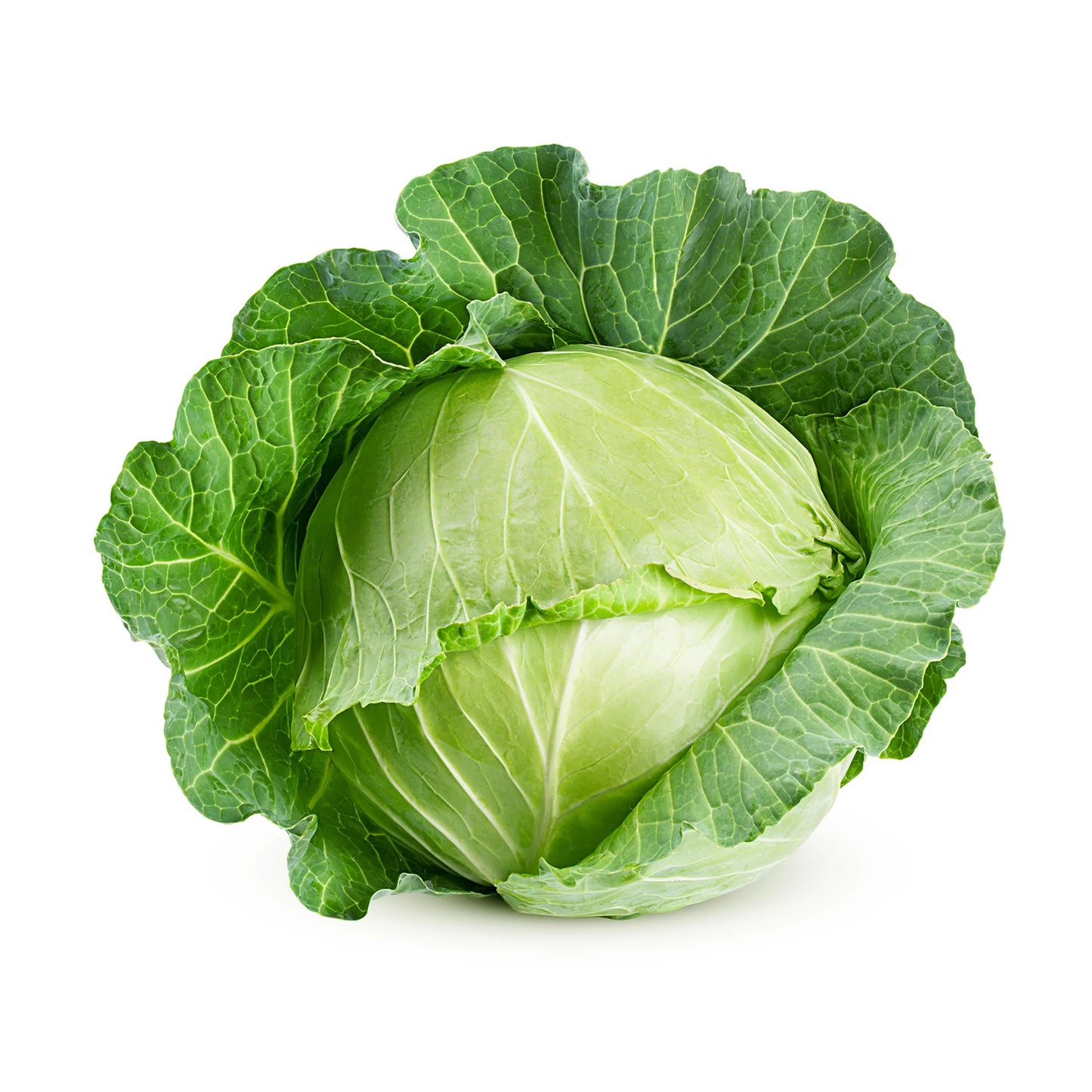 Organic Cabbage Powder