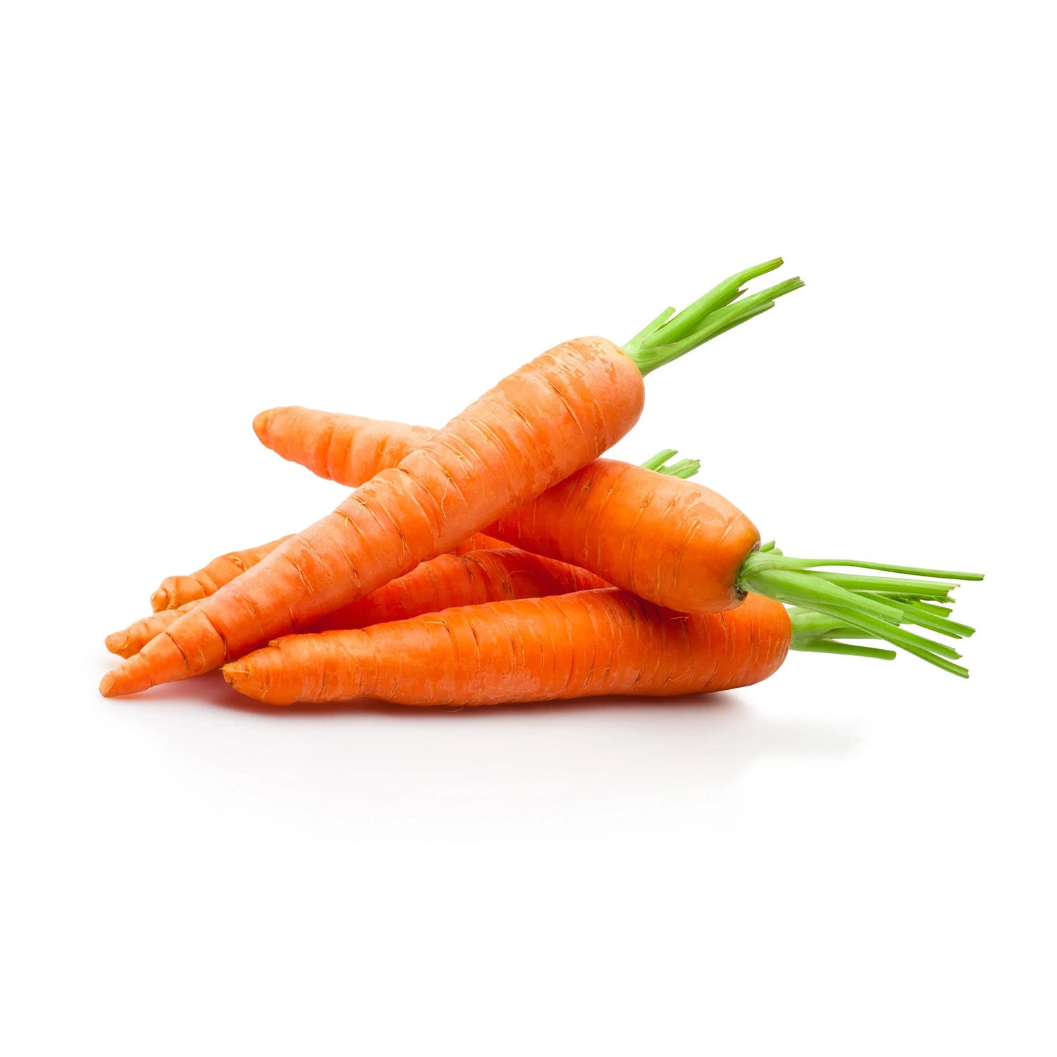 Organic Carrot