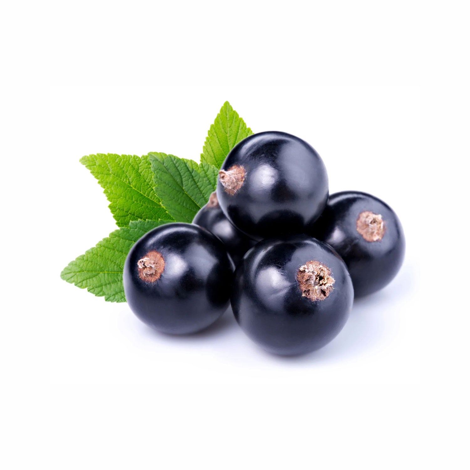 Organic Cassis