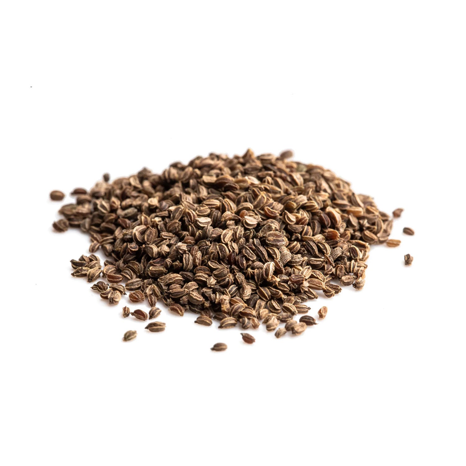 Organic Celery Seed