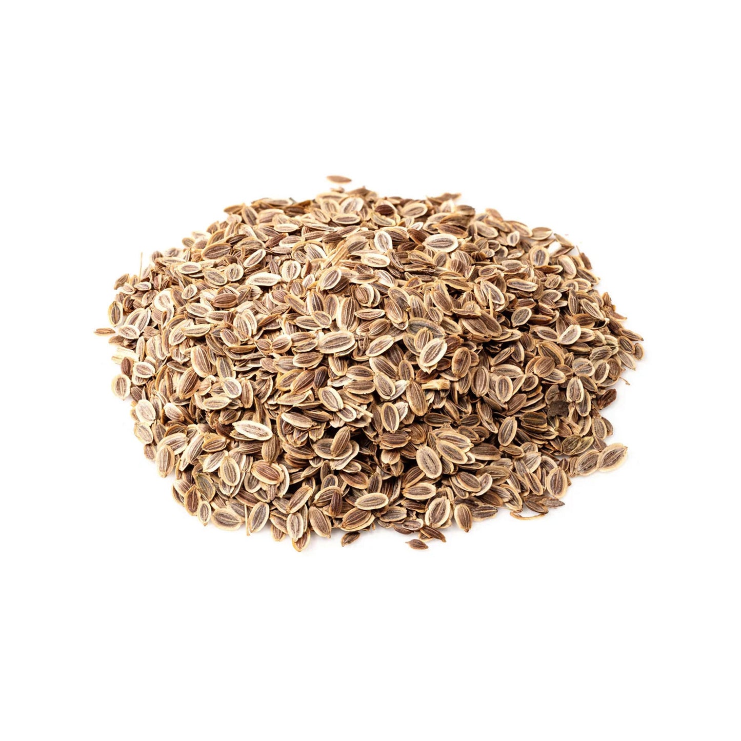 Organic Dill Seed