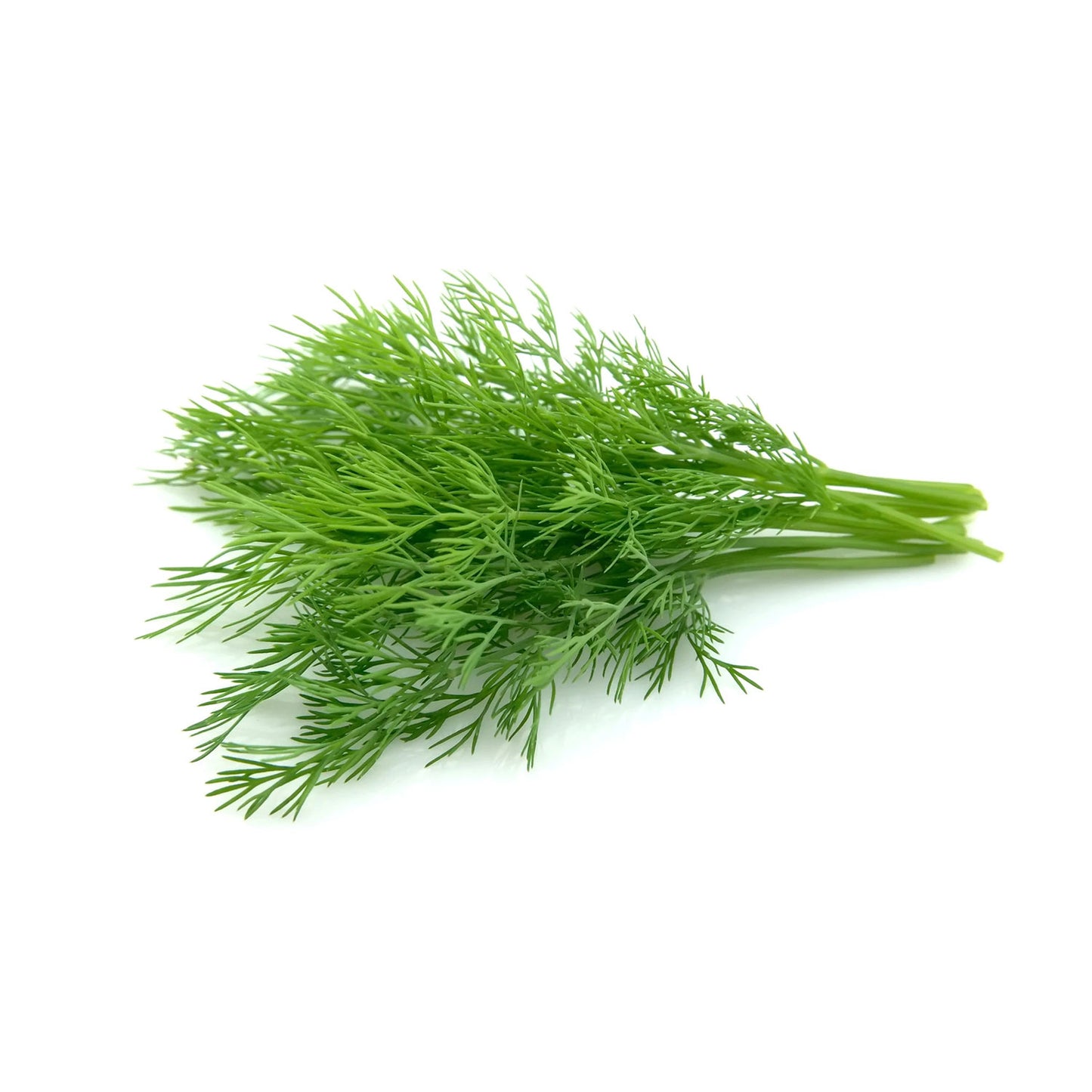 Organic Dill Weed