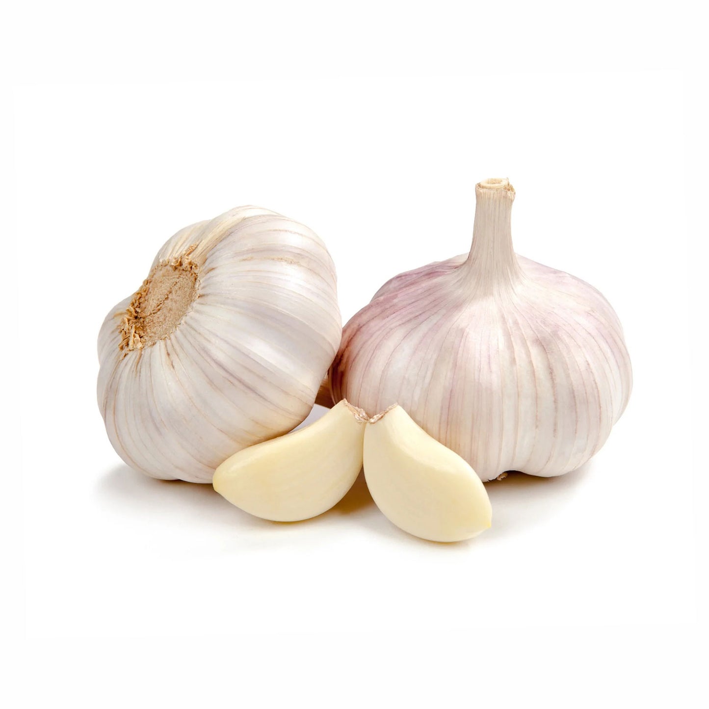 Organic Garlic