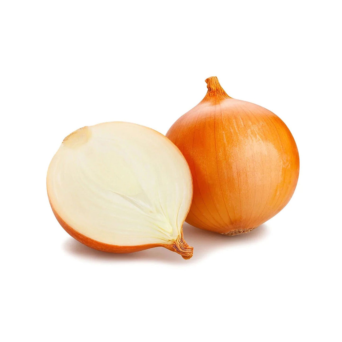 Organic Onion