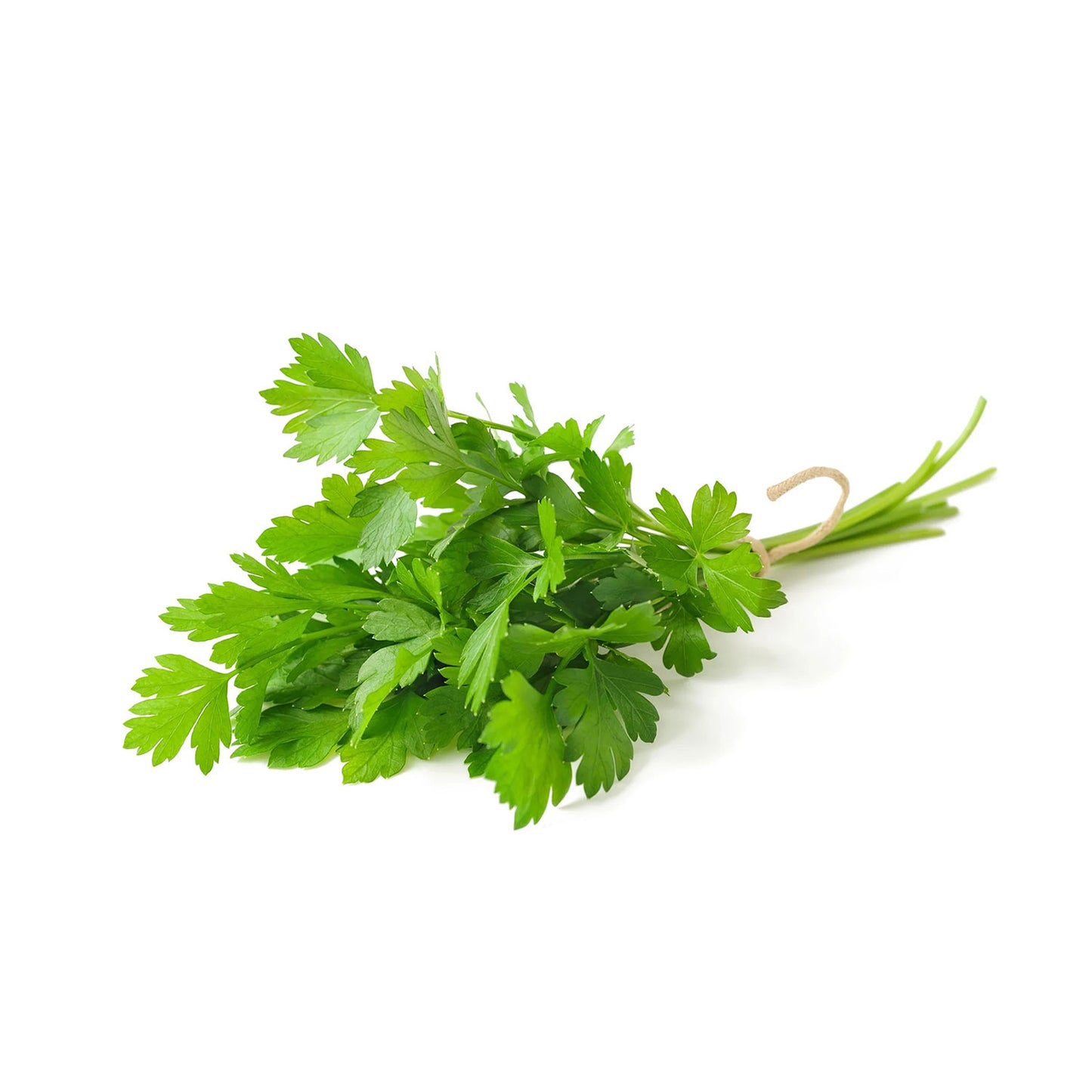 Organic Parsley