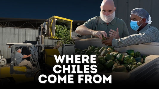 From Seed to Table: My Inside Look at New Mexico’s Organic Pepper Project